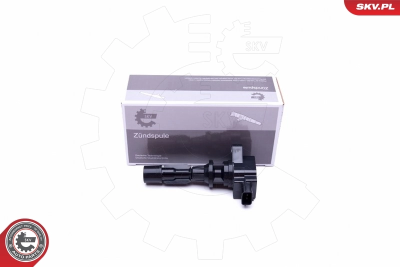 Ignition Coil